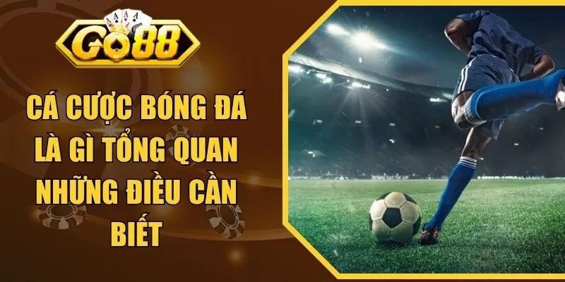 Cá Cược Bóng Đá Là Gì Tổng Quan Những Điều Cần Biết