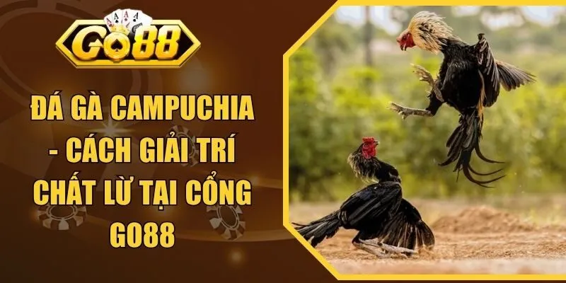 Đá Gà Campuchia - Cách Giải Trí Chất Lừ Tại Cổng GO88