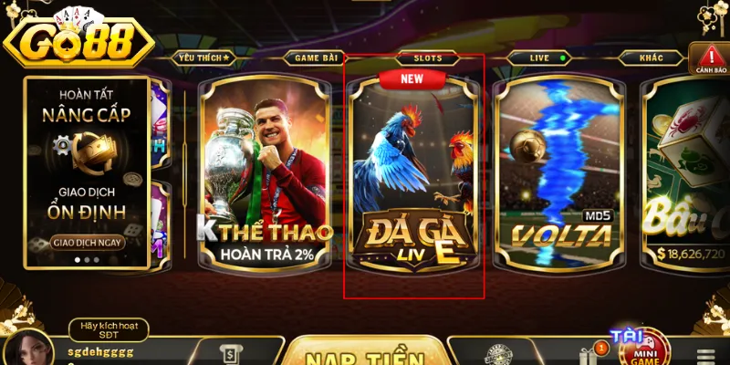 Đá gà GO88 là sảnh chơi số 1