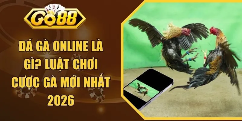 Đá Gà Online Là Gì? Luật Chơi Cược Gà Mới Nhất 2026