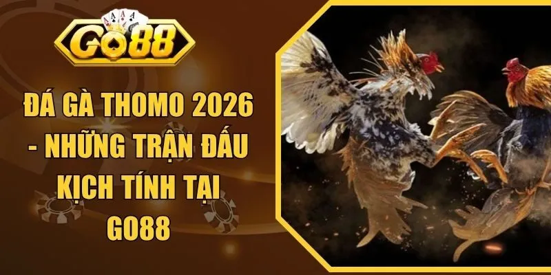 Đá Gà Thomo 2026 - Những Trận Đấu Kịch Tính Tại GO88